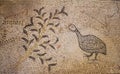 The Church of Multiplication of loaves and fish in Tabgha, Israel. Part of the Byzantine floor mosaic. Birds Royalty Free Stock Photo