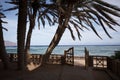 The view on sea trough the beach entrance with wood fence and blue sky with palm trees Royalty Free Stock Photo