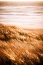 View of sea waves breaking beach with growing grass Royalty Free Stock Photo