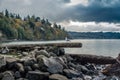 Seagull Shoreline Landscape