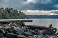 Seagull Shoreline Landscape 2