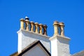 Seagull on a chimney pot, Sidmouth. Royalty Free Stock Photo