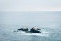 View of Seal Rock and the Pacific Ocean, from Crescent Bay Point Park, in Laguna Beach, Orange County, California Royalty Free Stock Photo