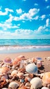 View of the seashore. Yellow sandy beach. Sunny sky with light clouds. Shells of mollusks and snails. Banner Royalty Free Stock Photo