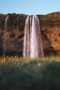 View of Seljalandsfoss waterfall in Iceland Royalty Free Stock Photo