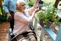 View of senior man standing near disabled wife in wheelchair watering plant Royalty Free Stock Photo