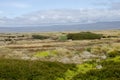 View of Seno Otway - Patagonia - Chile Royalty Free Stock Photo