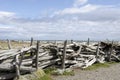 View of Seno Otway - Patagonia - Chile Royalty Free Stock Photo