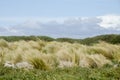 View of Seno Otway - Patagonia - Chile Royalty Free Stock Photo