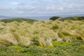 View of Seno Otway - Patagonia - Chile Royalty Free Stock Photo