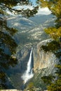 View from the Sentinel Dome Royalty Free Stock Photo