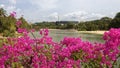 View of Sentosa Palawan Beach from Palawan Island. People resti Royalty Free Stock Photo