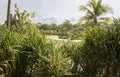 View of Sentosa Palawan Beach. People resting on the shore Royalty Free Stock Photo