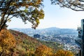 View of Seoul city from overgrown slope of Namsan Royalty Free Stock Photo