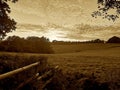 View in sepia of a meadow in East Sussex, UK
