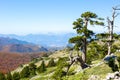 View from Serra Di Crispo, Pollino National Park,  southern Apennine Mountains, Italy Royalty Free Stock Photo