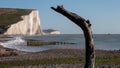 View of the Seven Sisters chalk cliffs at Hope Gap, Seaford, East Sussex on the south coast of England UK. Royalty Free Stock Photo