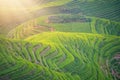 View of Seven Stars Accompany the Moon Rice Terraces