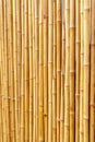 Several bamboo sticks in vertical form Royalty Free Stock Photo