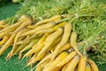 yellow carrots, farmers market