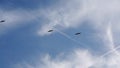 View of several seagull birds flying in blue sky. Trail from an airplane. Summer sunny day.