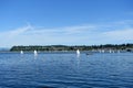 A view of several windsail boats on an open bay in Comox Harbour on a beautiful sunny day.