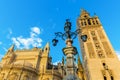 View on the Seville Cathedral from Plaza del Triunfo in Seville, Spain