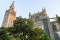 View of Seville Cathedral of Saint Mary of the See Seville Cathedral at sunset, with Giralda tower and oranges trees in the Royalty Free Stock Photo