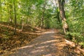 View of a shaded dirt path through the woods Royalty Free Stock Photo