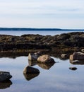 View of a shallow tidal pool in the foreground with Penobscot Bay in the background