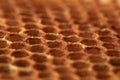 View on shape cell an honeycomb. Royalty Free Stock Photo