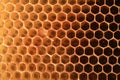 View on shape cell an honeycomb. Royalty Free Stock Photo