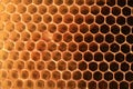 View on shape cell an honeycomb.