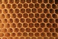 View on shape cell an honeycomb. Royalty Free Stock Photo