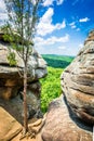 A view of the Shawnee National Forest from Illinois` Garden of t Royalty Free Stock Photo