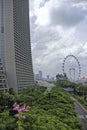 View of Sheares Ave from Dragonfly Bridge Royalty Free Stock Photo