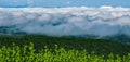 Shenandoah Valley Completely Covered by Fog Royalty Free Stock Photo