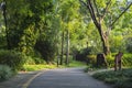 View of Shenzhen International Garden and Flower Expo Park Royalty Free Stock Photo