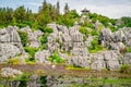 View of Shilin major stone forest with bright fall colors and pond with water reflection and small pavilion on top and overcast