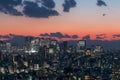 View of Shinjuku and colorful sunset. Royalty Free Stock Photo