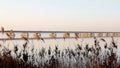 A view from the shore of a low-water bridge