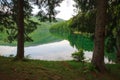 View from the shore through the pine trees to the mountain lake Royalty Free Stock Photo