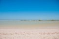 View of the shore of a pink lake. Rio Lagartos, Yucatan, Mexico