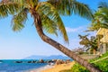 View of the shore of the South China Sea with a sandy beach, large rocks and green palm trees. Sanya, China. Royalty Free Stock Photo