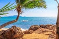 View of the shore of the South China Sea with a sandy beach, large rocks and green palm trees. Sanya, China. Royalty Free Stock Photo