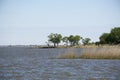 Chesapeake bay shoreline Royalty Free Stock Photo