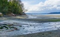 Dash Point Park Shoreline Royalty Free Stock Photo
