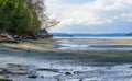 Dash Point Park Shoreline 2 Royalty Free Stock Photo