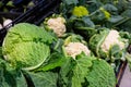 Cabbage, cauliflower, broccoli and broccoflower in greengrocery