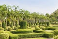 View of shrub trimming ornamental in public green park and grass field